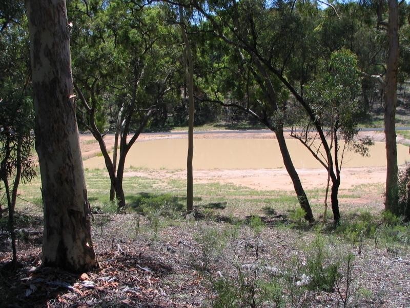 403 Timor Road, Coonabarabran NSW 2357