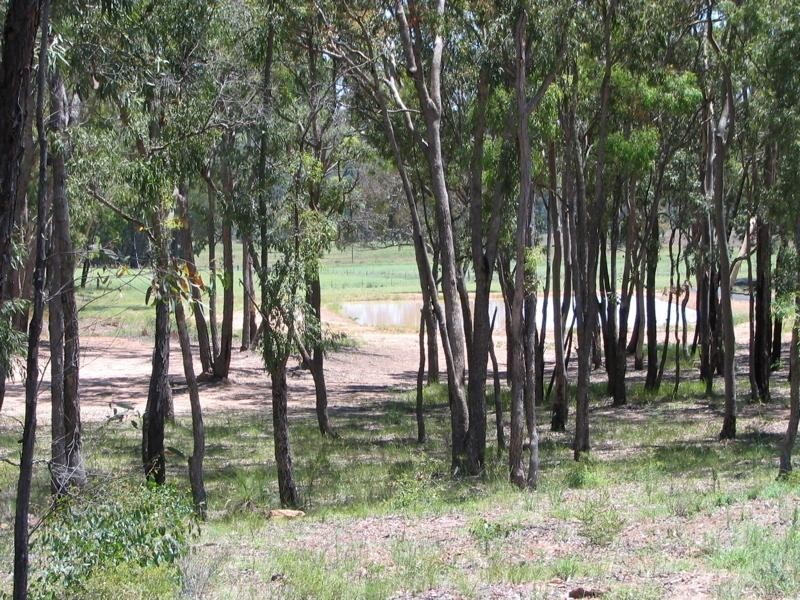 403 Timor Road, Coonabarabran NSW 2357