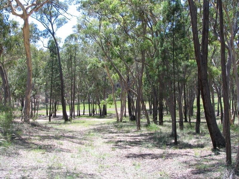 403 Timor Road, Coonabarabran NSW 2357