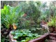 Grafton NSW 2460