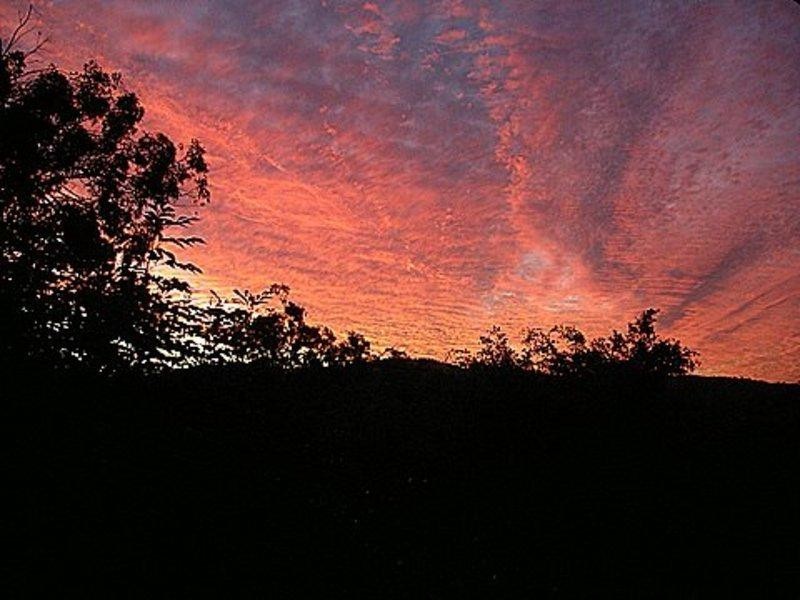 22 Nottinghill  Place, Oxenford QLD 4210