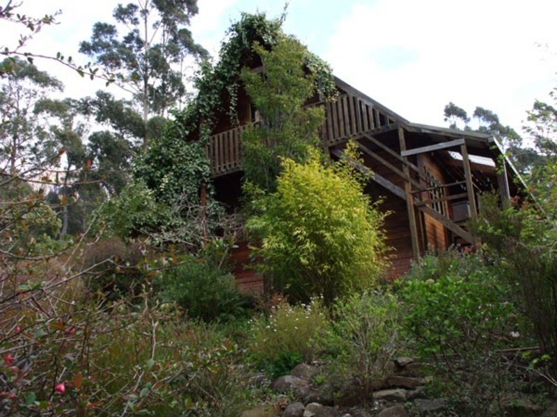 339 Strickland Avenue, South Hobart TAS 7004