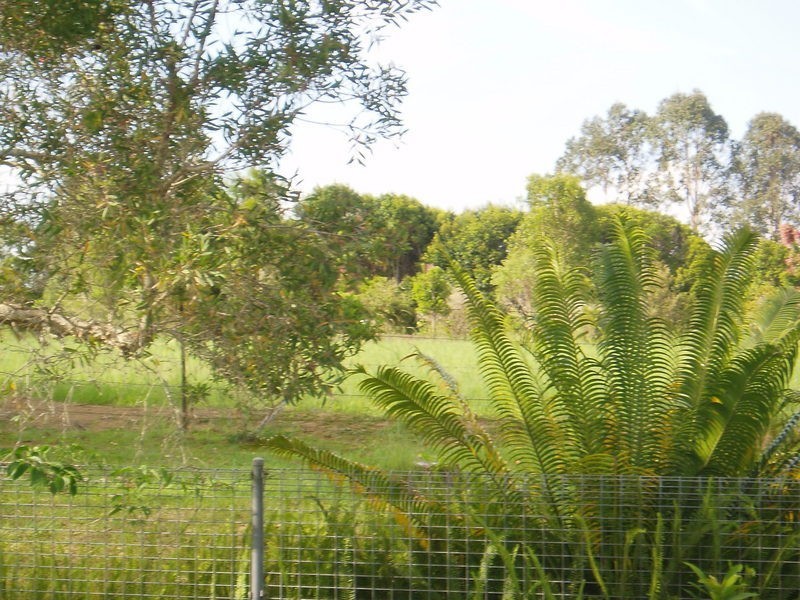 103 Ferrells Road, Cooroy QLD 4563