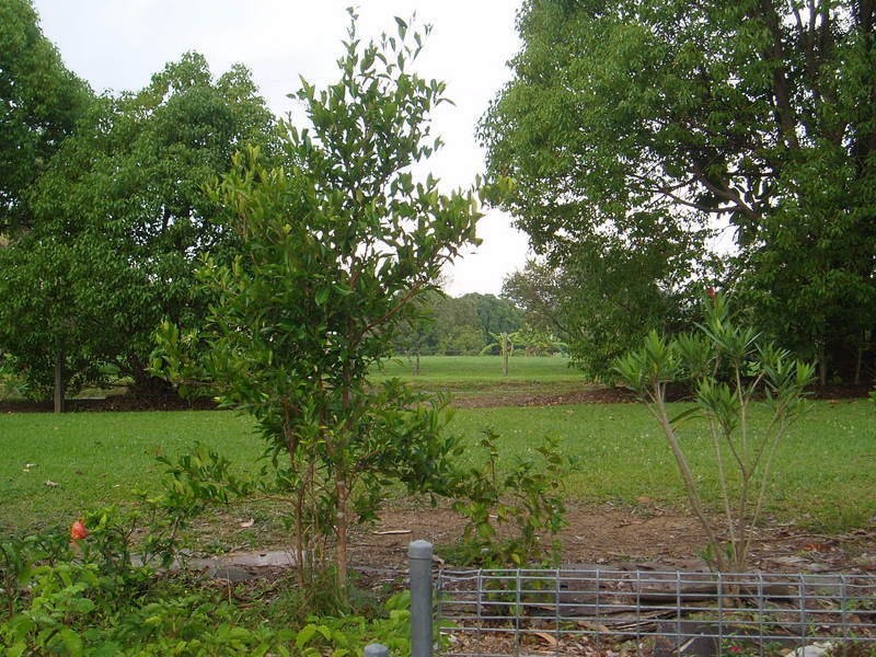 103 Ferrells Road, Cooroy QLD 4563