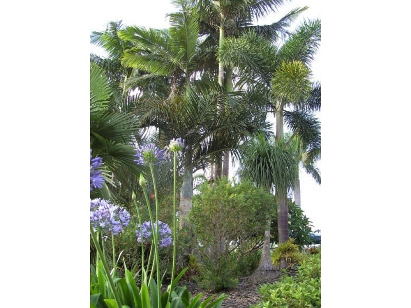 19 Hessen Place, Tewantin QLD 4565