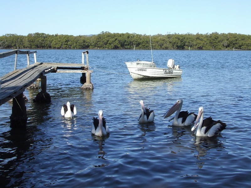 484a Fishermans Reach  Road, Fishermans Reach NSW 2441