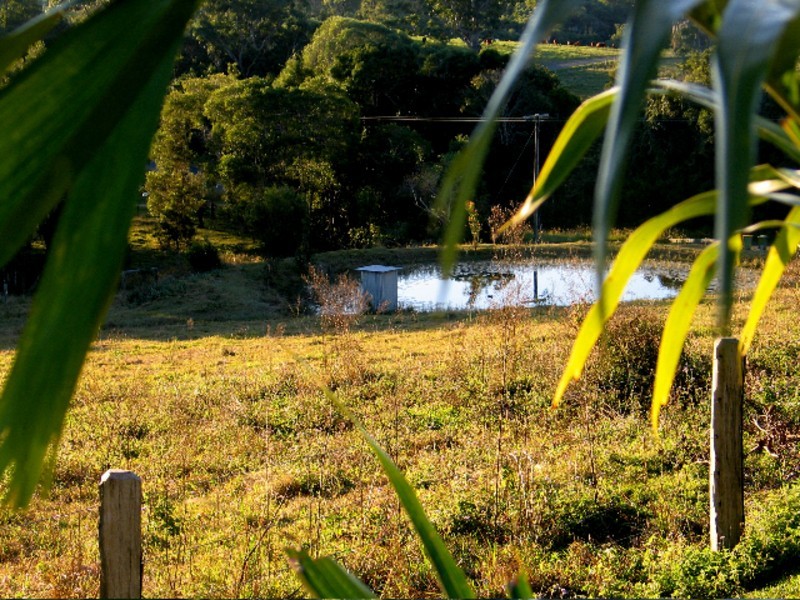134 Cooroy Mountain Road, Cooroy QLD 4563