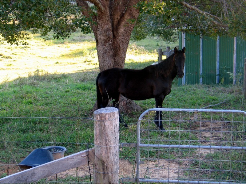 134 Cooroy Mountain Road, Cooroy QLD 4563