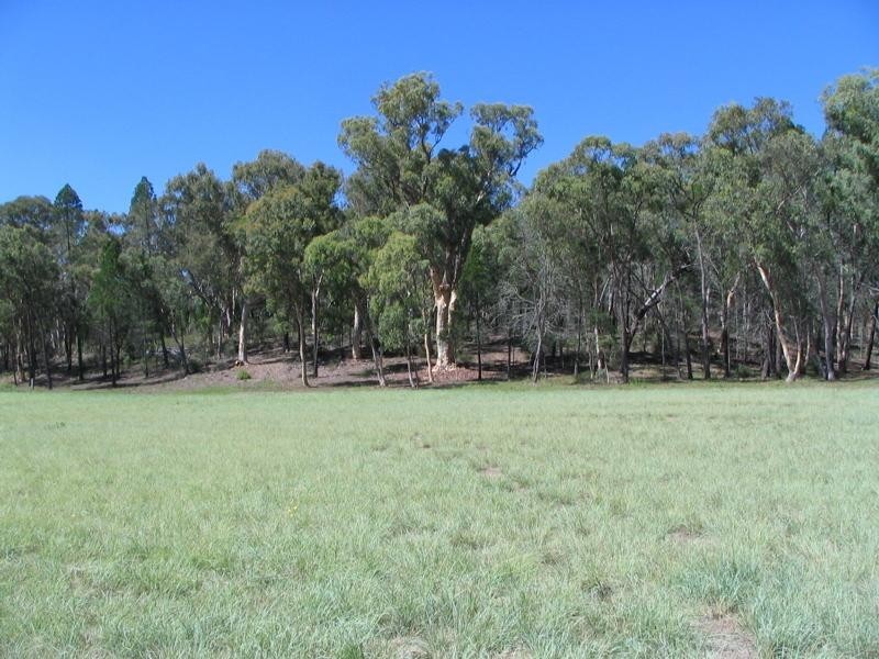 401 Timor Road, Coonabarabran NSW 2357