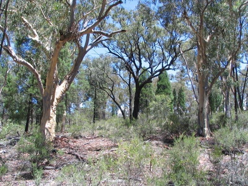 401 Timor Road, Coonabarabran NSW 2357