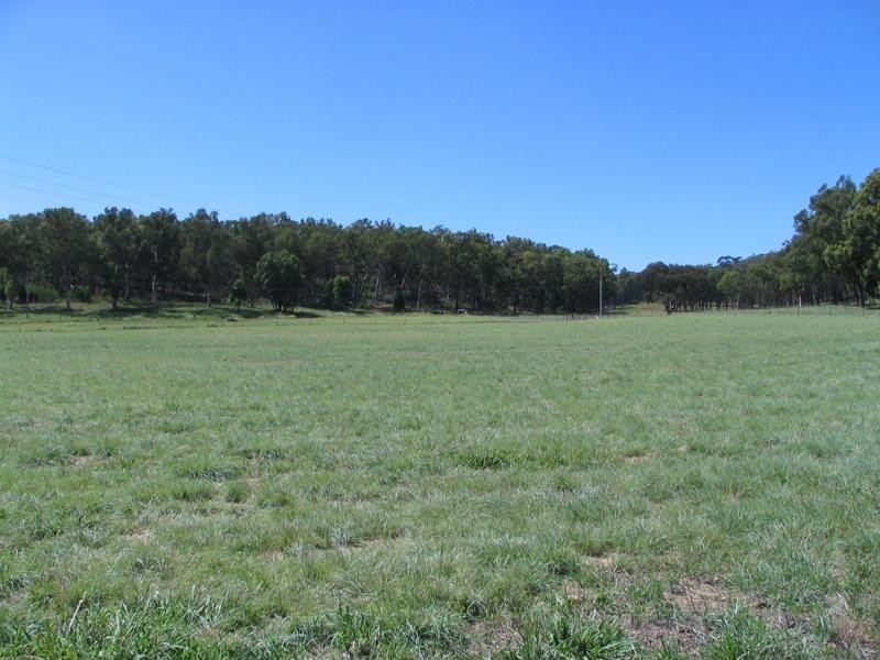 399 Timor Road, Coonabarabran NSW 2357