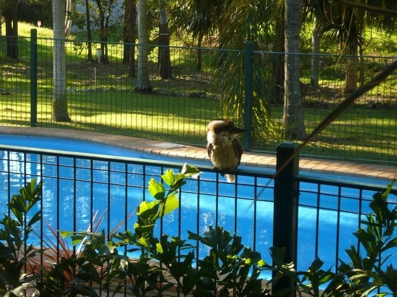 3/15 Tropic Road, Cannonvale QLD 4802