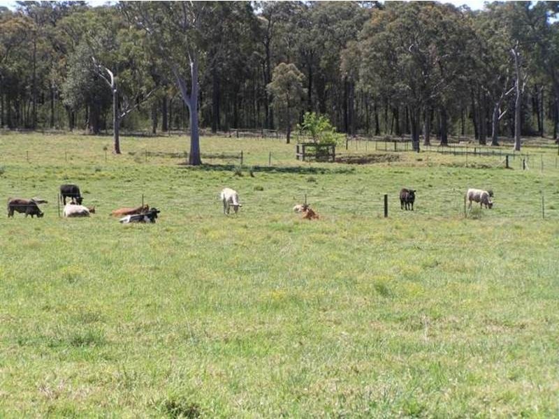 765 Ridge Road, Oakdale NSW 2570