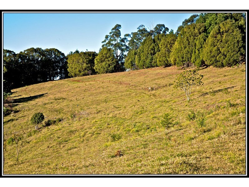 150 Mayes Hill Road, North Tumbulgum NSW 2490