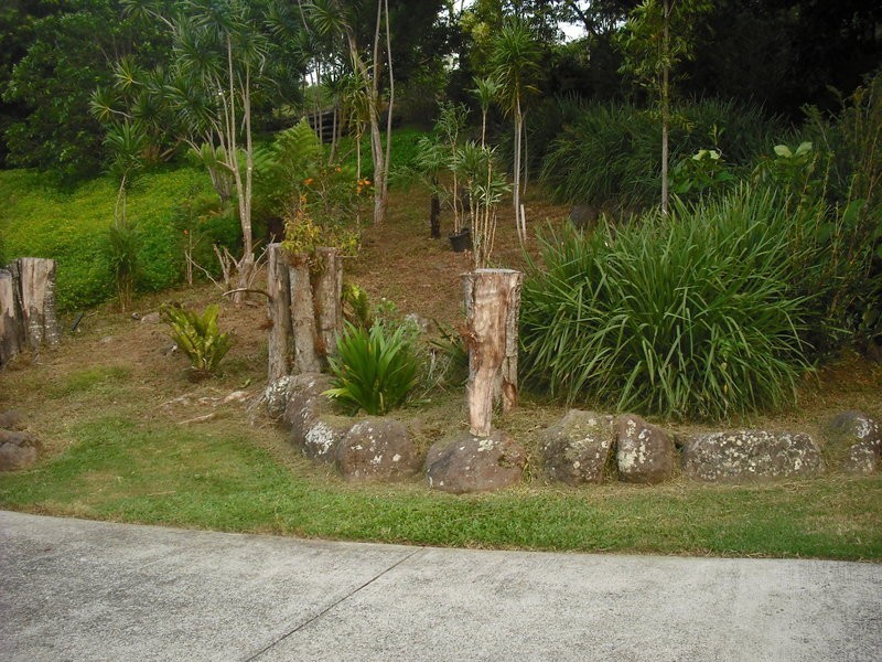 434 Carool Road, Carool NSW 2486