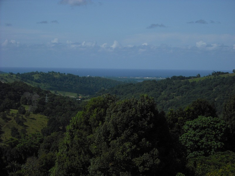 434 Carool Road, Carool NSW 2486