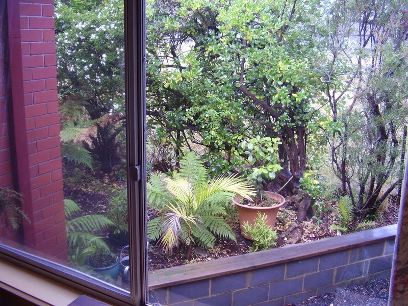 42 Rialannah Road, Mount Nelson TAS 7007