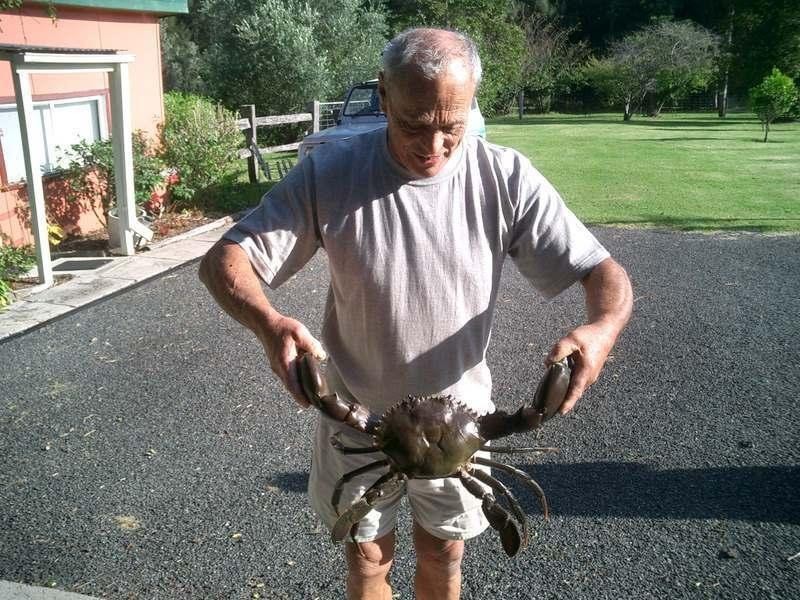 23 Deane Street, St Georges Basin NSW 2540