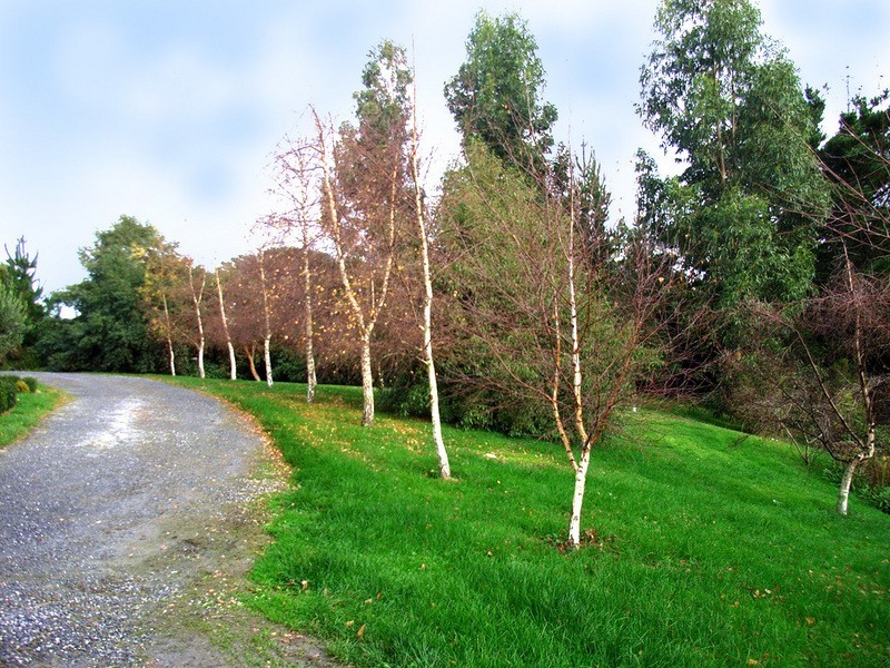 51 Lynch  Street, Strahan TAS 7468