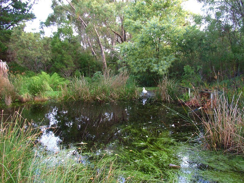 51 Lynch  Street, Strahan TAS 7468