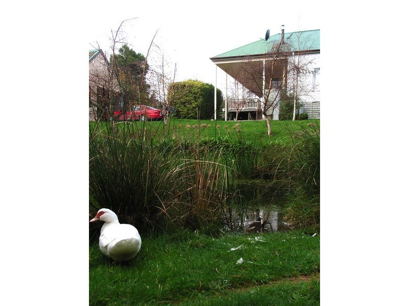 51 Lynch  Street, Strahan TAS 7468