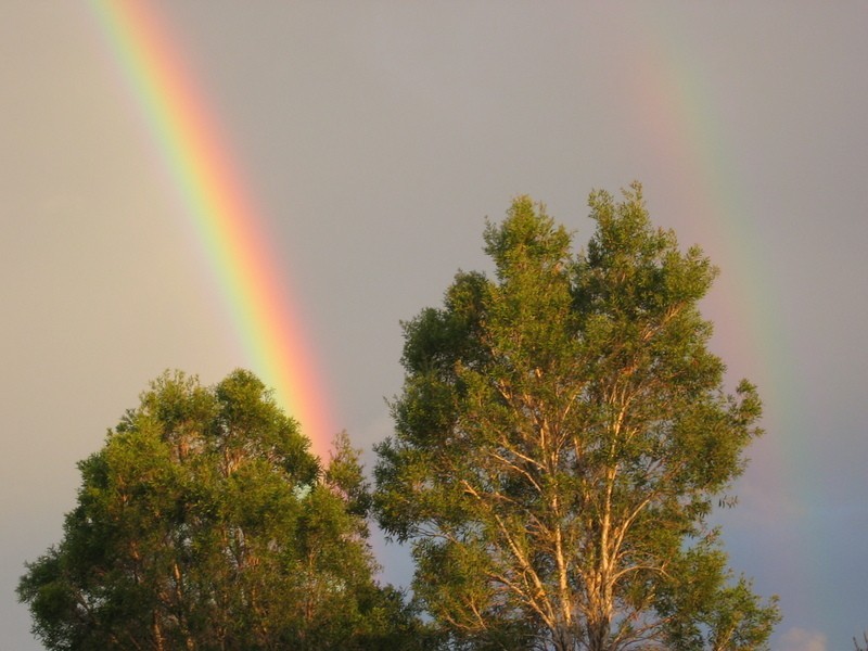 123 O’Quinn  Street, Nudgee Beach QLD 4014