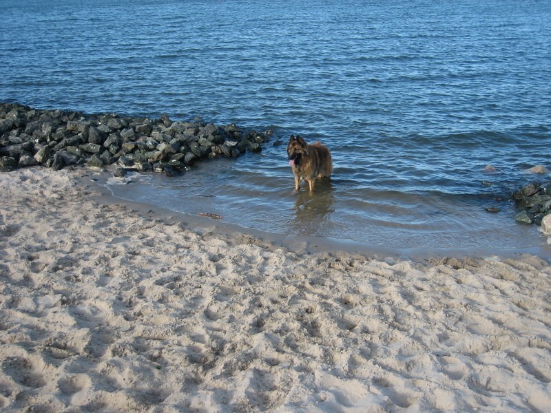 123 O’Quinn  Street, Nudgee Beach QLD 4014