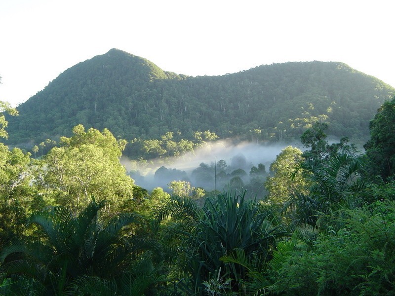 398 Gold Creek Road, Eumundi QLD 4562