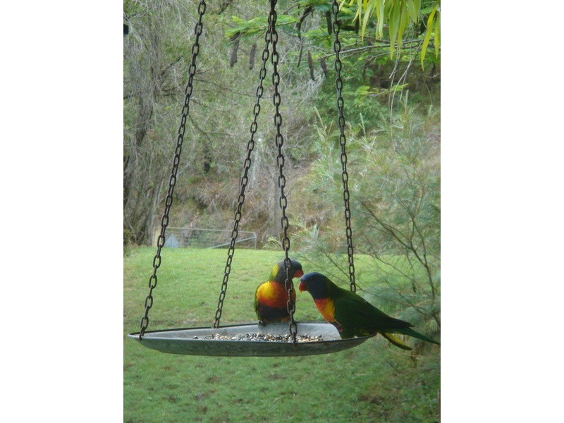 398 Gold Creek Road, Eumundi QLD 4562