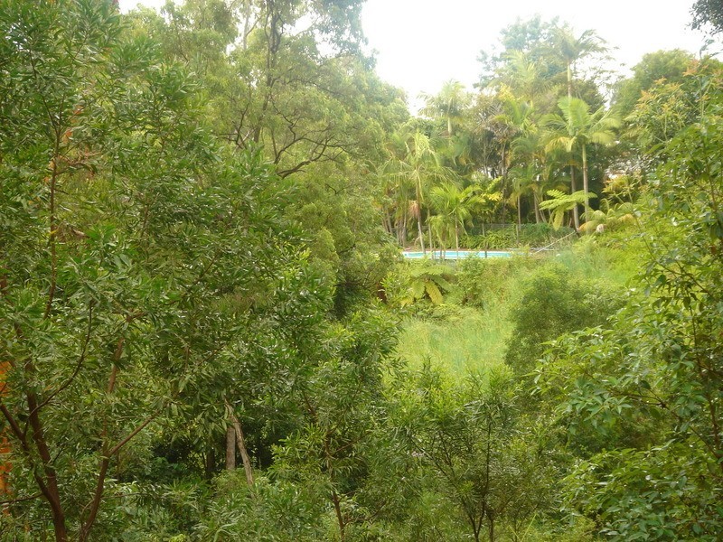 398 Gold Creek Road, Eumundi QLD 4562