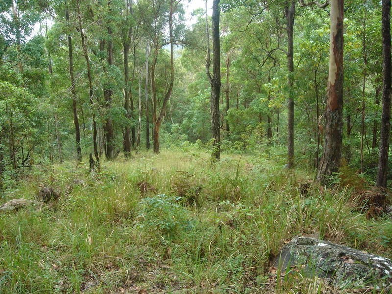 398 Gold Creek Road, Eumundi QLD 4562