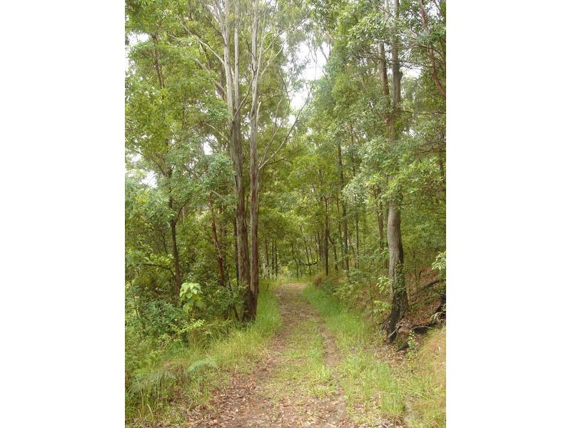 398 Gold Creek Road, Eumundi QLD 4562