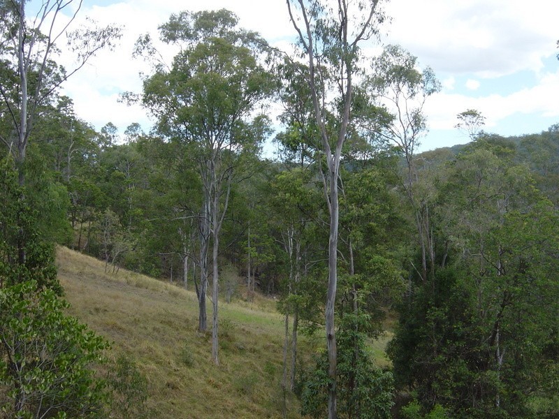 398 Gold Creek Road, Eumundi QLD 4562