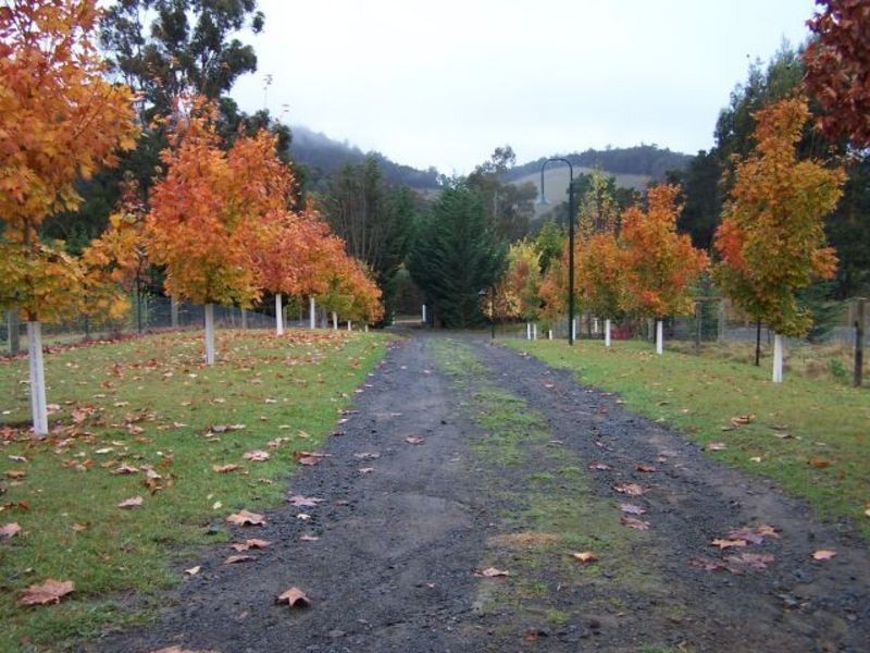 279 Bakers Creek  Road, Lucaston TAS 7109