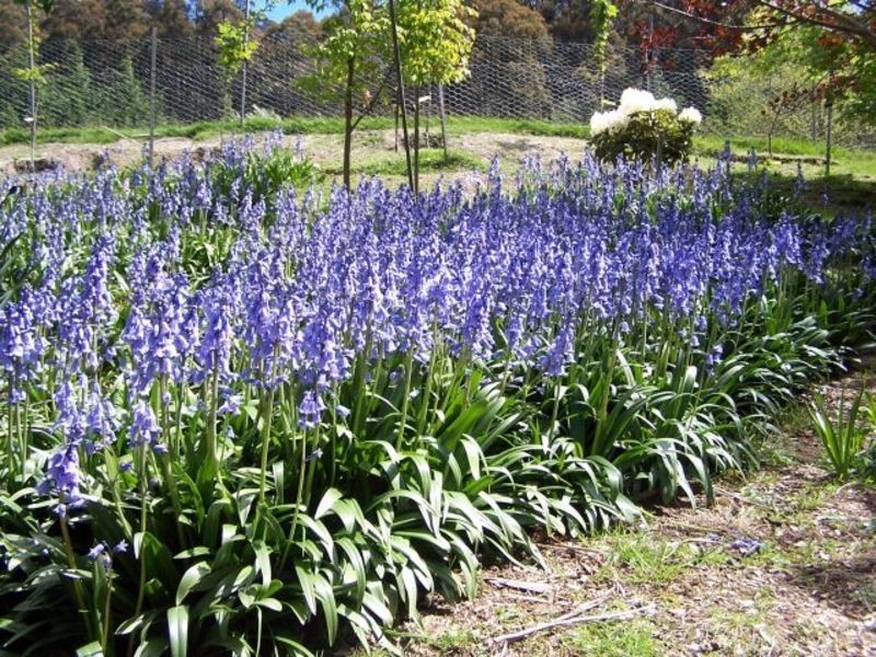 279 Bakers Creek  Road, Lucaston TAS 7109