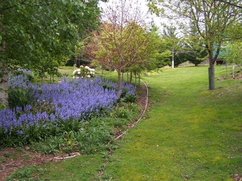 279 Bakers Creek  Road, Lucaston TAS 7109