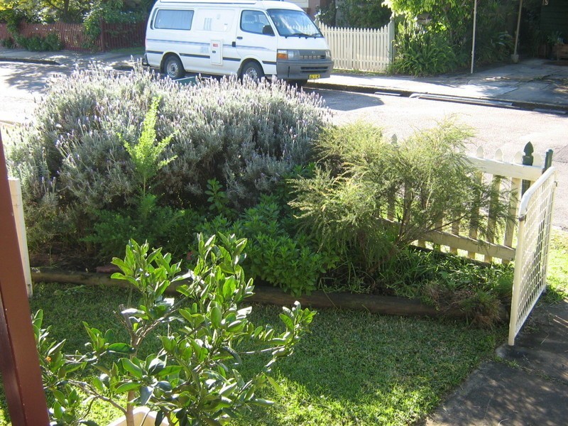 202 Teralba Road, Adamstown NSW 2289