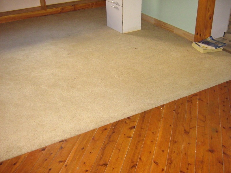 202 Teralba Road, Adamstown NSW 2289