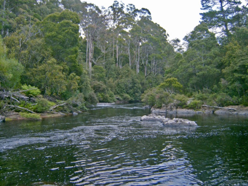 520 Harveys Road, North Motton TAS 7315