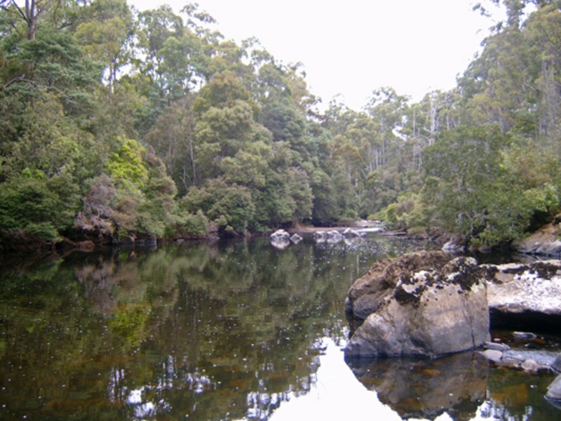 520 Harveys Road, North Motton TAS 7315