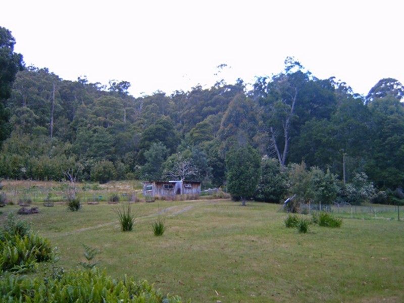520 Harveys Road, North Motton TAS 7315