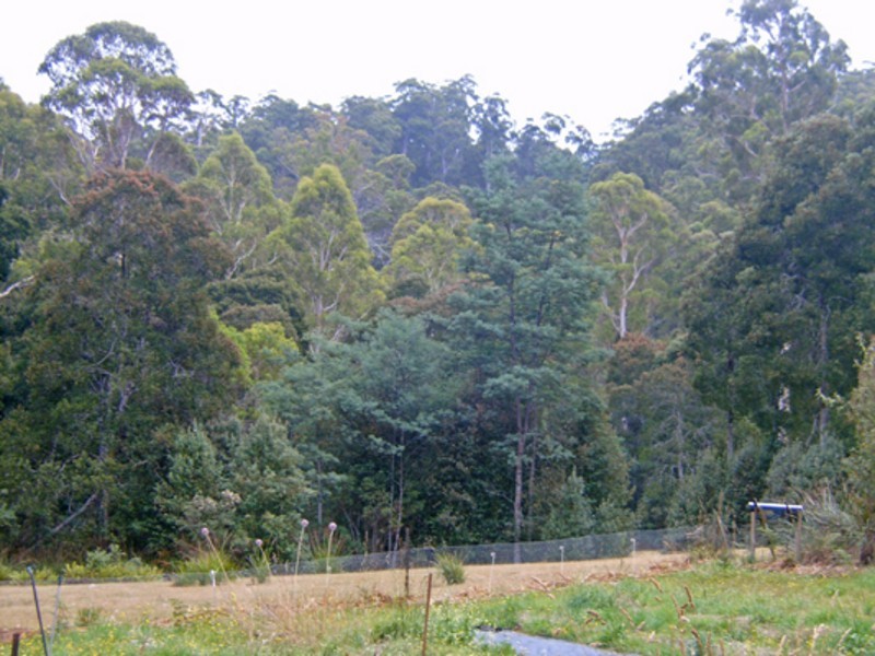 520 Harveys Road, North Motton TAS 7315