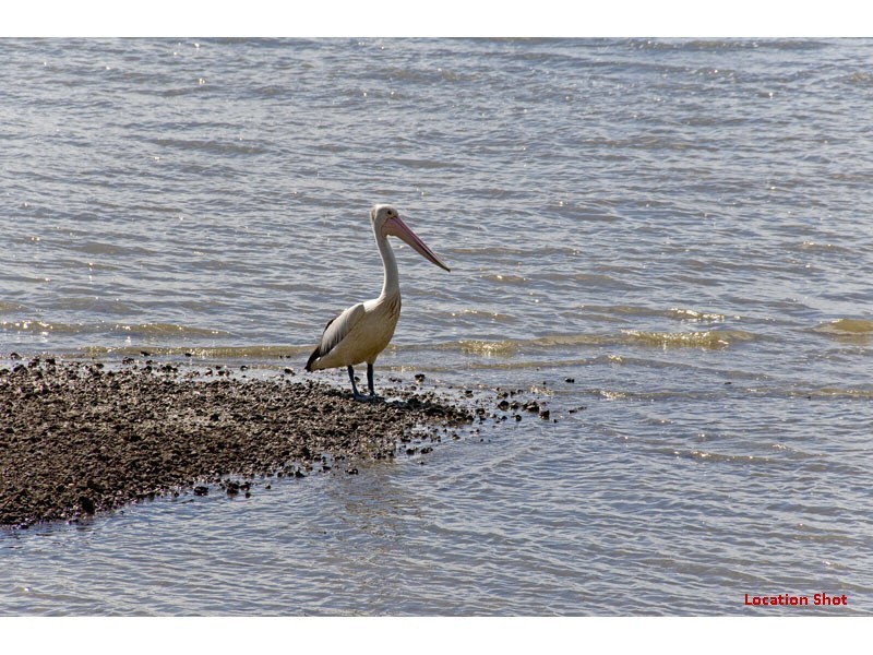 7 Dawn Street, Coochiemudlo Island QLD 4184