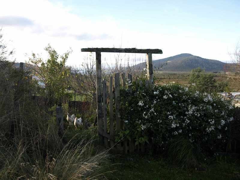 3254 Huon Highway, Franklin TAS 7113