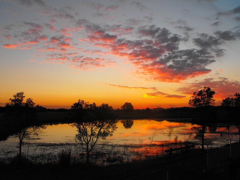 38 Lake Breeze  Drive, Loganholme QLD 4129