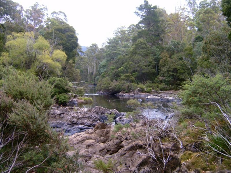 520 Harveys Road, North Motton TAS 7315