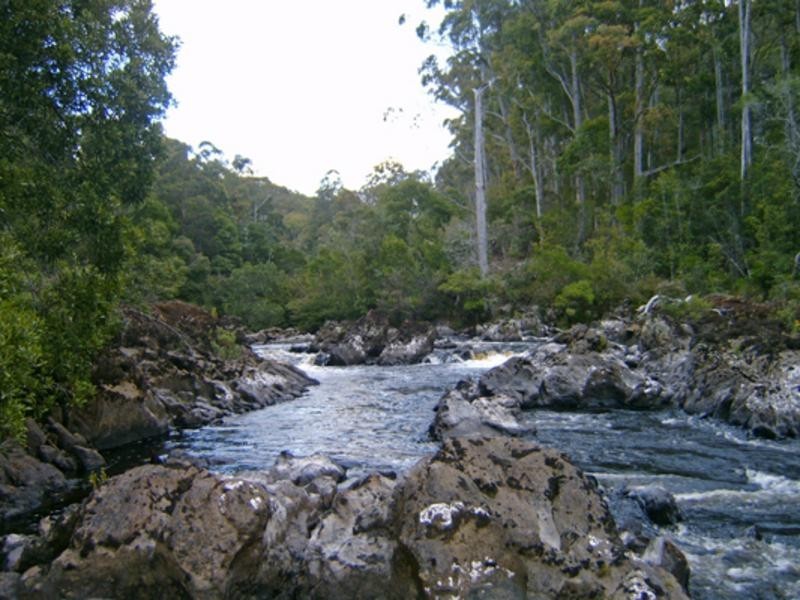 520 Harveys Road, North Motton TAS 7315