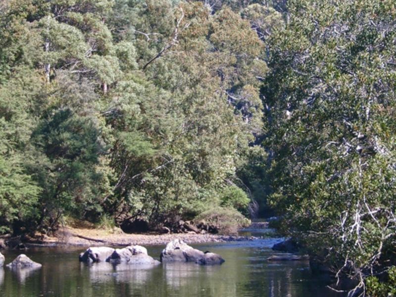 520 Harveys Road, North Motton TAS 7315