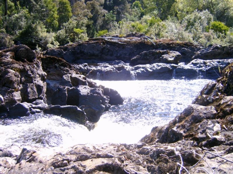 520 Harveys Road, North Motton TAS 7315