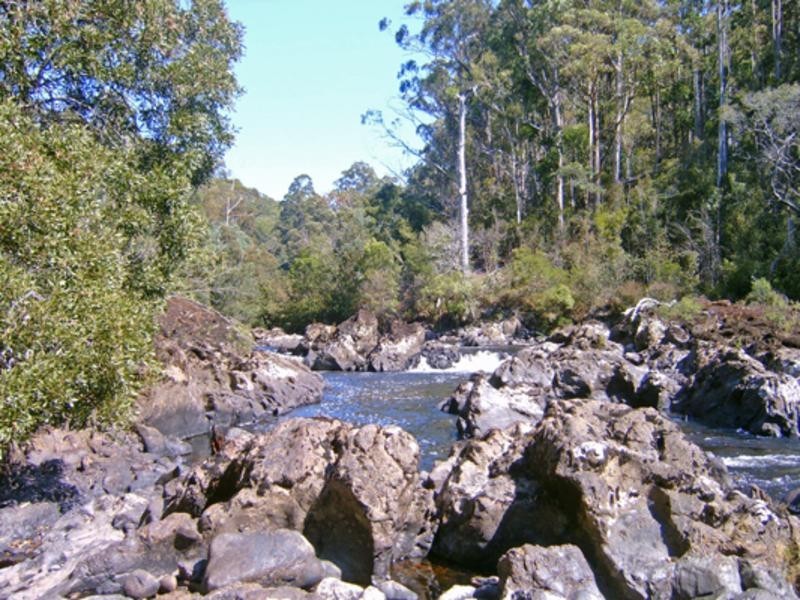 520 Harveys Road, North Motton TAS 7315